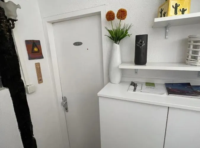 De Mare * Ρόβινι